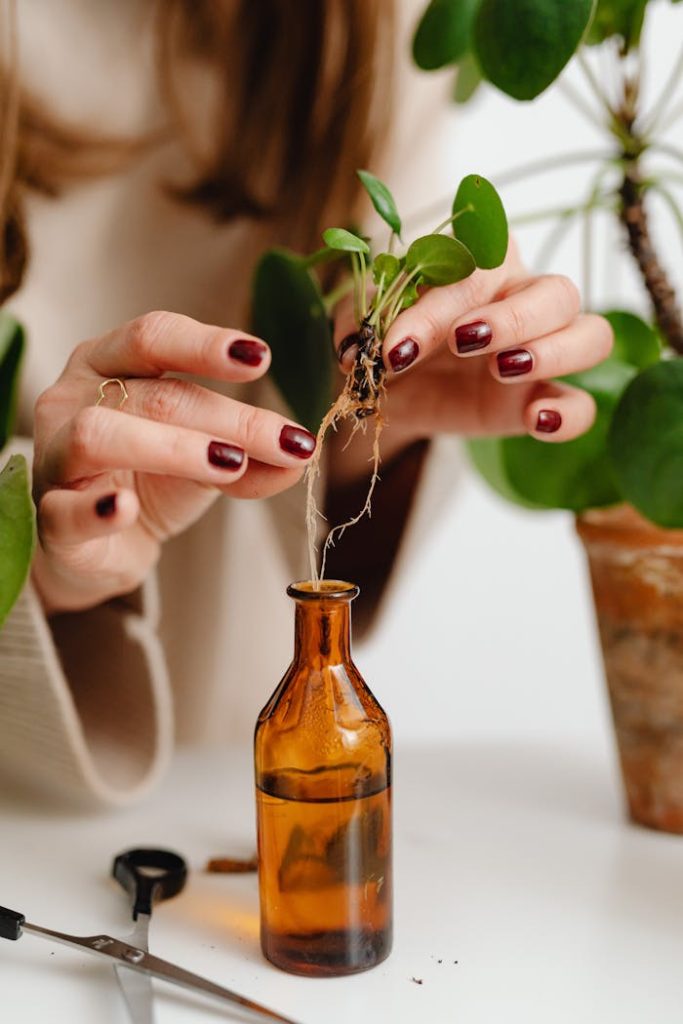 Photo of a Person's Hands Extracting a Plant